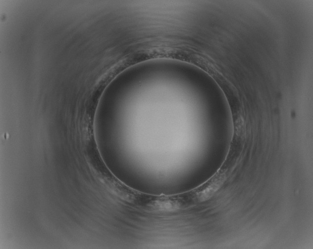 X0000071780464200606301224