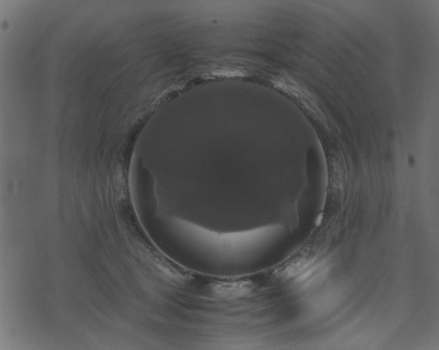 X0000071780465200606301224