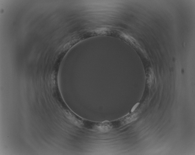 X0000071780466200606301224