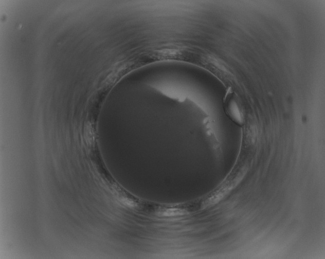 X0000071780467200606301224