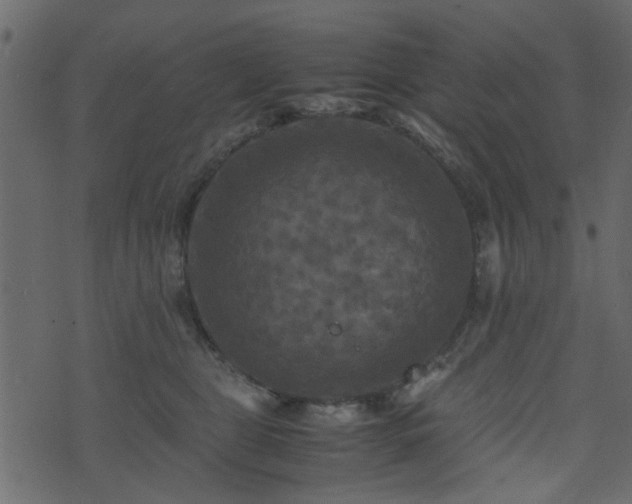 X0000071780469200606301224