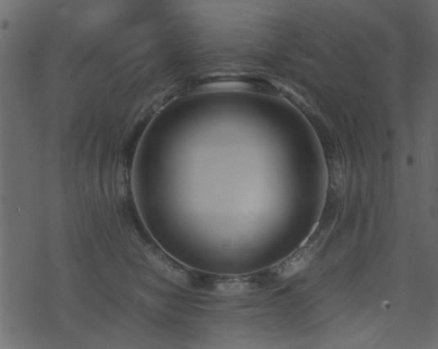 X0000071780470200606301224