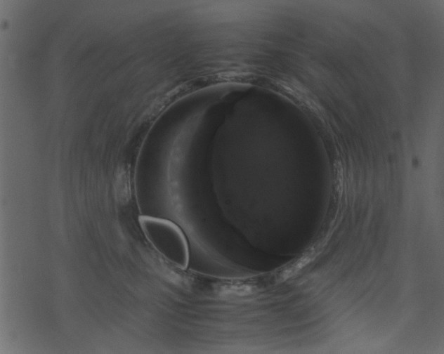 X0000071780471200606301224