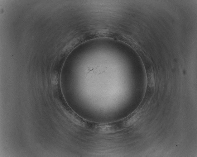 X0000071780472200606301225