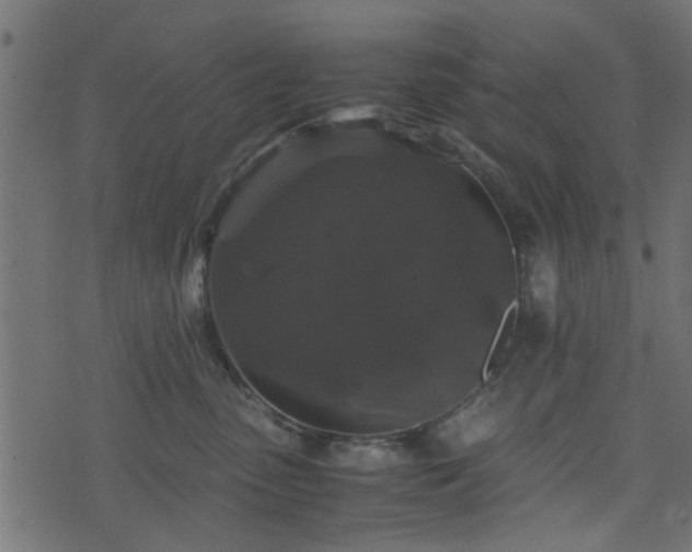 X0000071780475200606301225