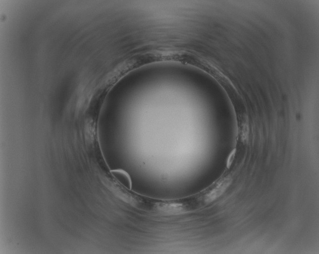 X0000071780476200606301225