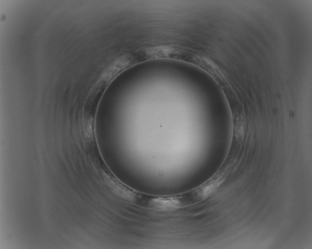 X0000071780477200606301225