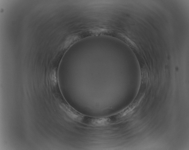 X0000071780479200606301225