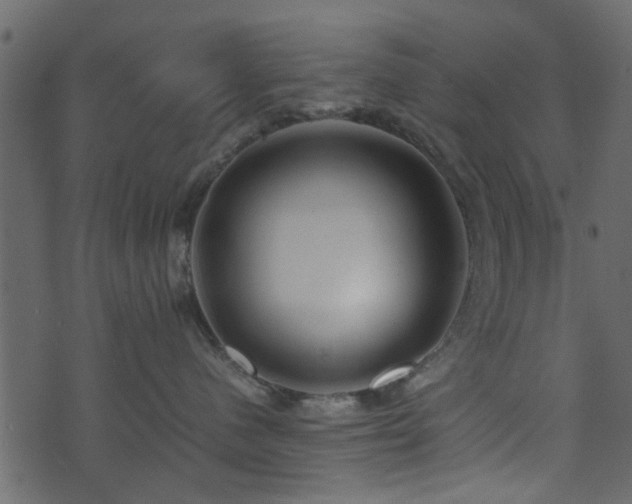 X0000071780480200606301225