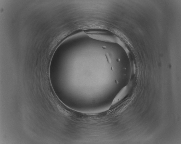 X0000071780481200606301224