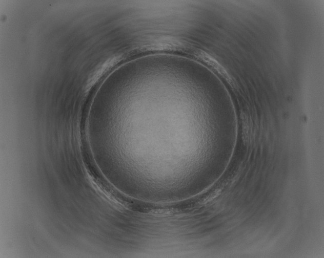 X0000071780482200606301224