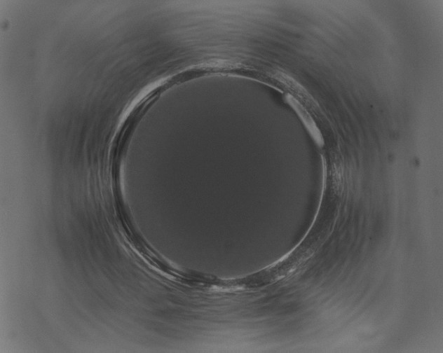 X0000071780484200606301224