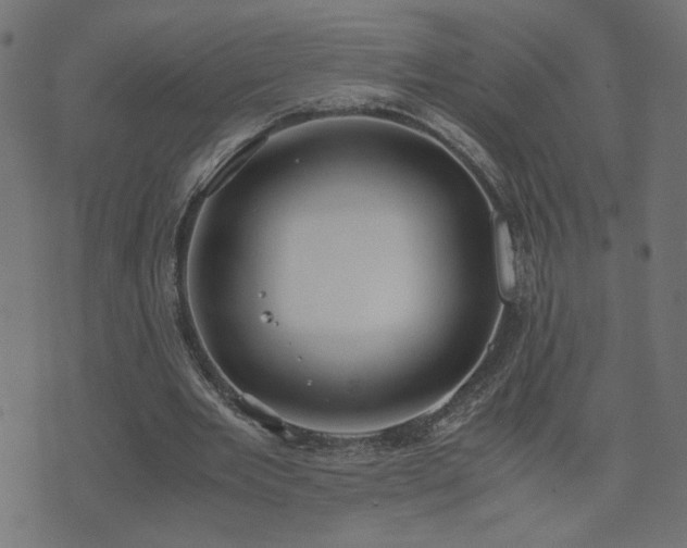 X0000071780485200606301224