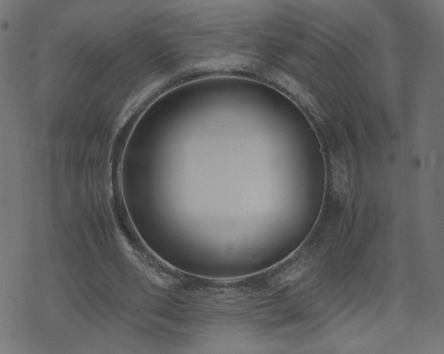 X0000071780486200606301224