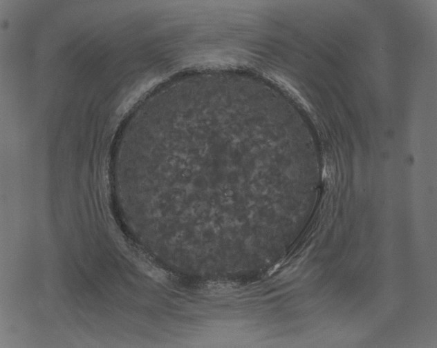 X0000071780487200606301224