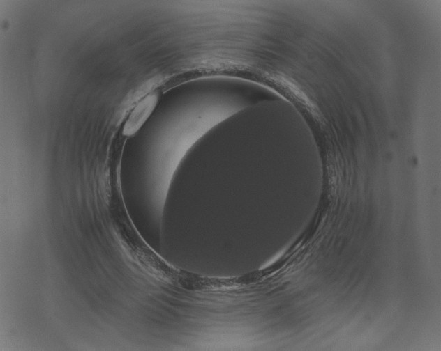 X0000071780488200606301224