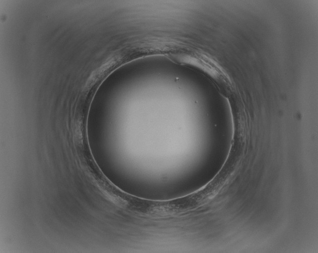 X0000071780489200606301224