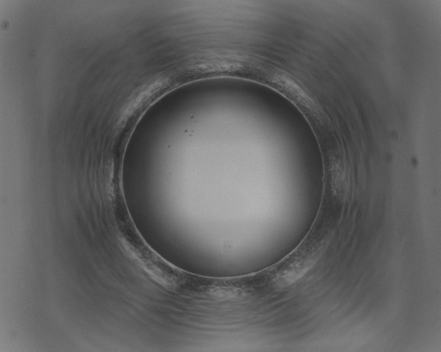 X0000071780490200606301224