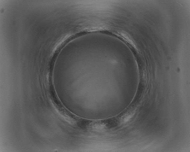 X0000071780491200606301224