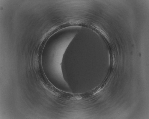 X0000071780492200606301224