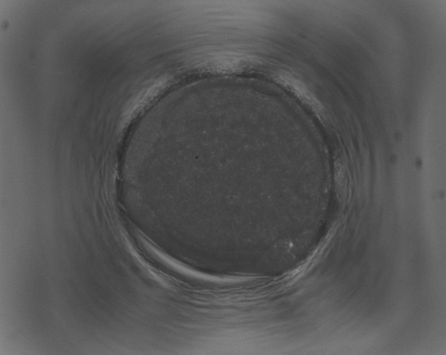 X0000071780493200606301224