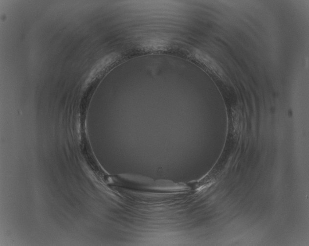 X0000071780494200606301224