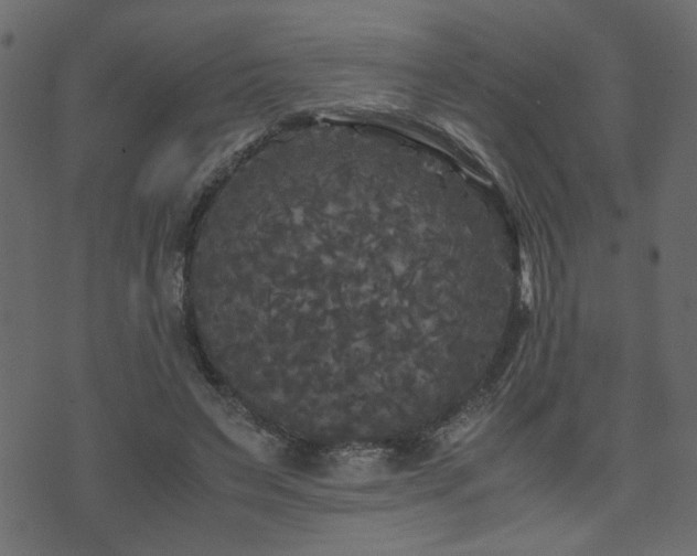 X0000071780495200606301224