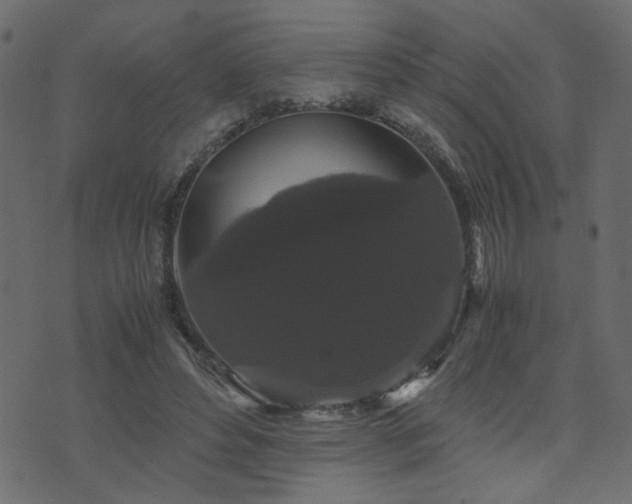 X0000071780496200606301224