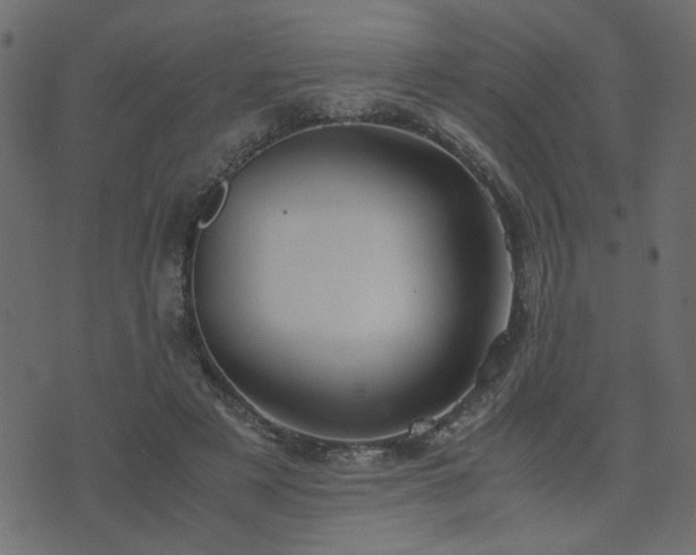 X0000071780497200606301224