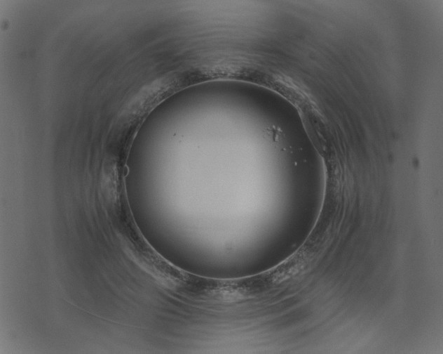 X0000071780498200606301224