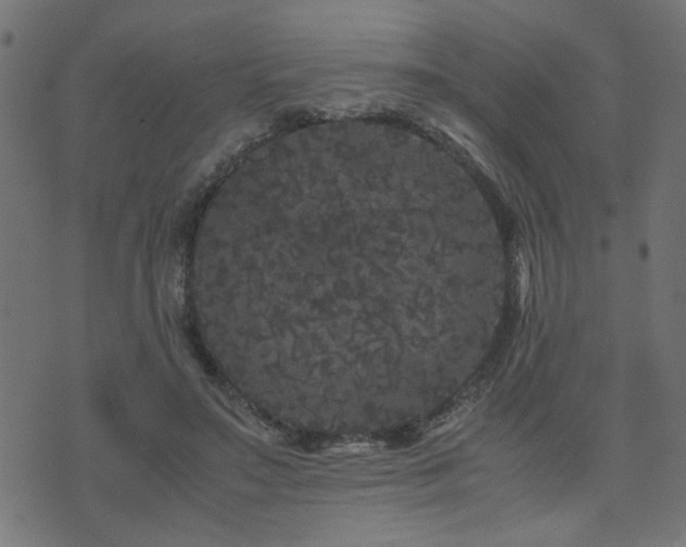 X0000071780499200606301224