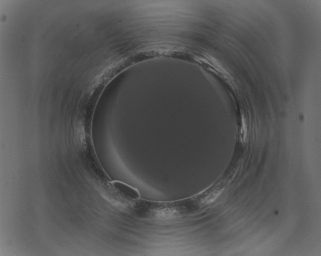 X0000071780500200606301224