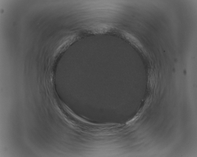 X0000071780501200606301224