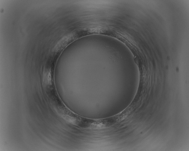 X0000071780502200606301224