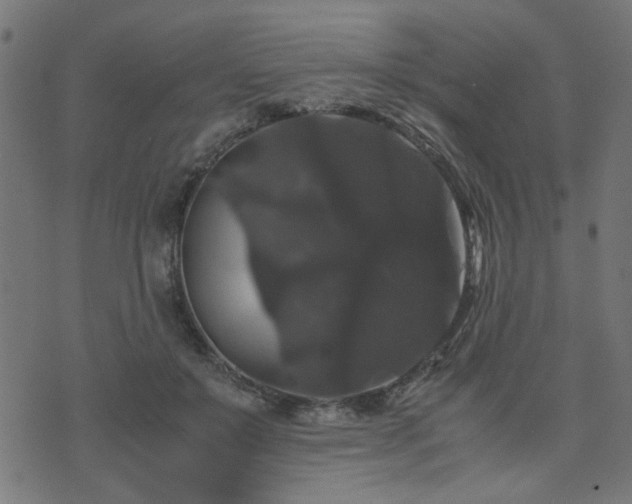 X0000071780503200606301224