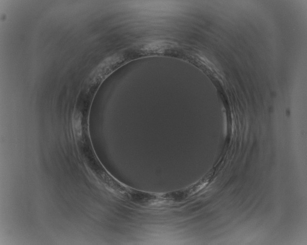 X0000071780504200606301223