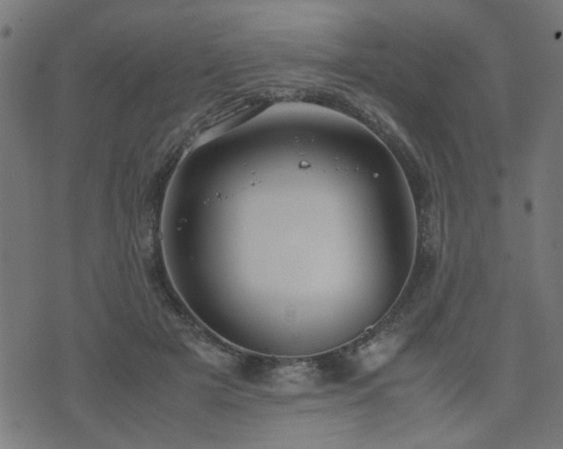 X0000071780505200606301223