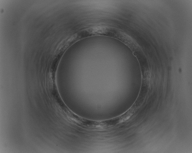 X0000071780506200606301223