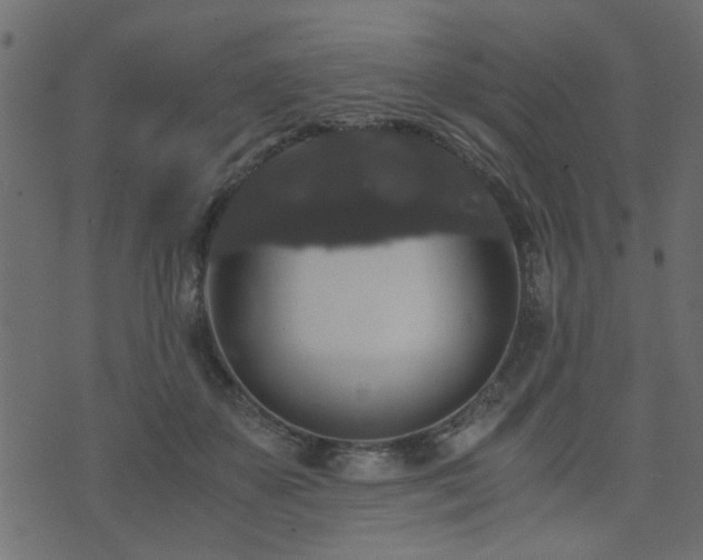 X0000071780507200606301223