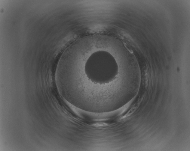 X0000071780508200606301223