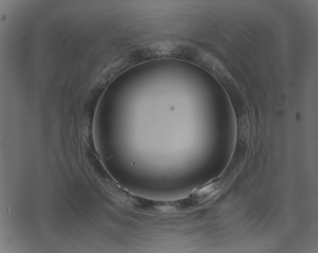 X0000071780509200606301223