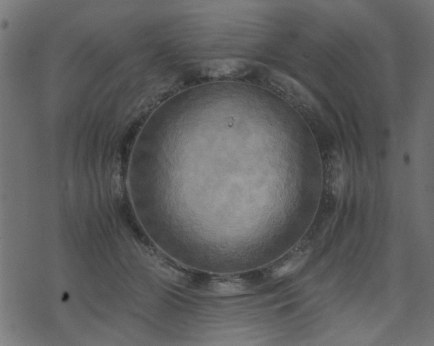 X0000071780510200606301223