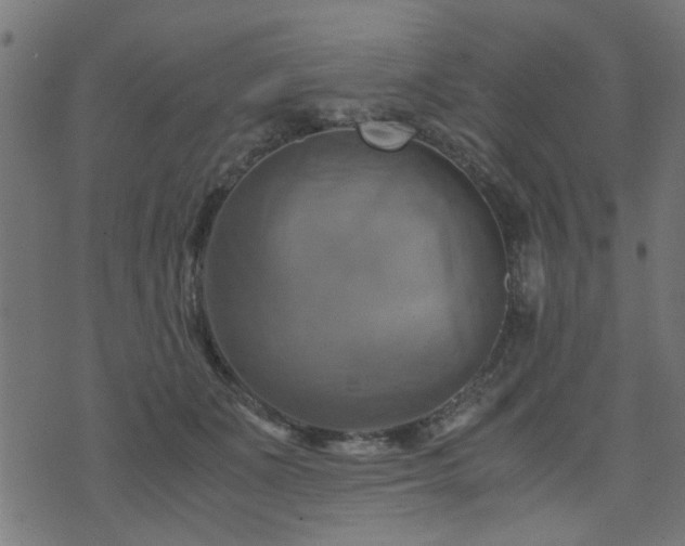 X0000071780511200606301223