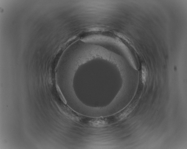 X0000071780512200606301223