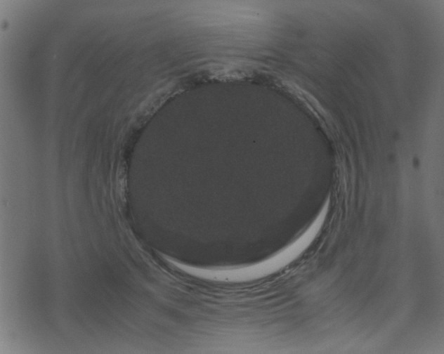 X0000071780513200606301223