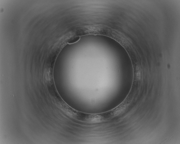 X0000071780514200606301223