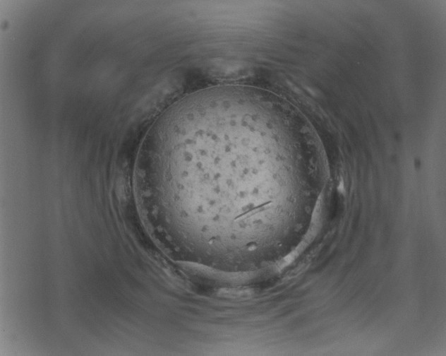 X0000071780515200606301223