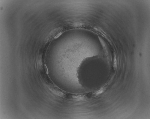 X0000071780516200606301223