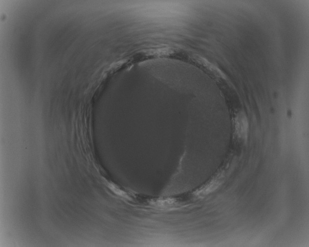 X0000071780517200606301223