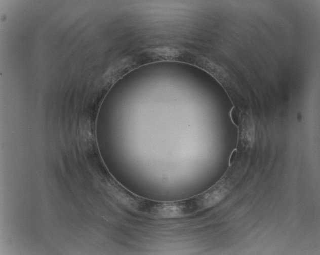 X0000071780518200606301223